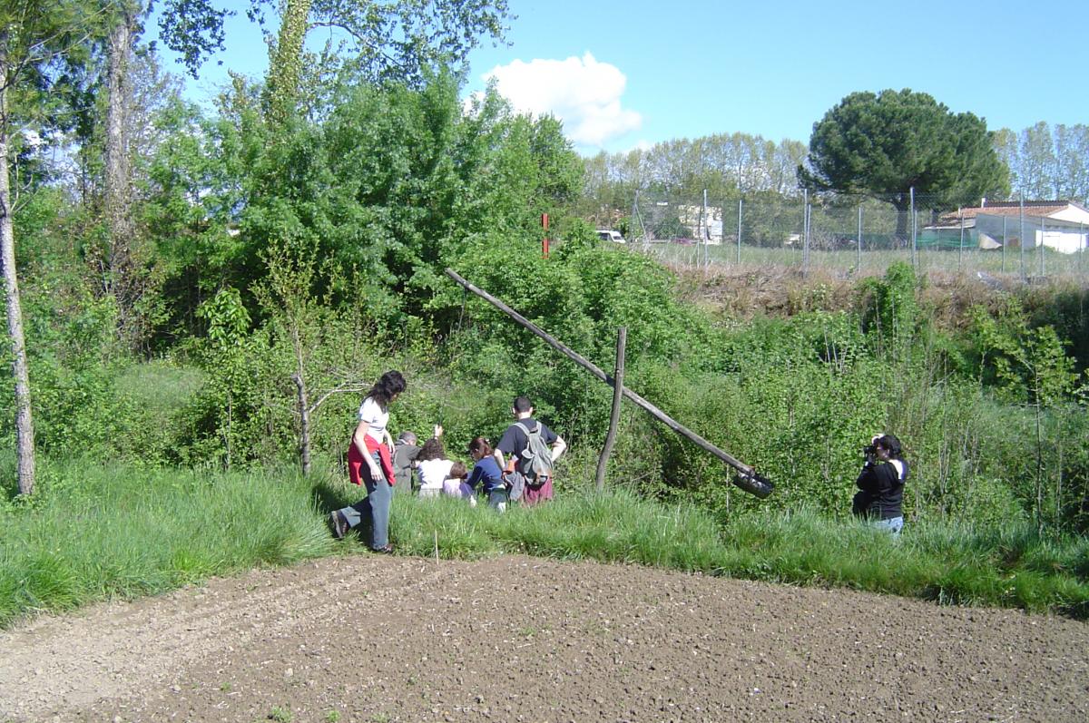 Vista poalanca